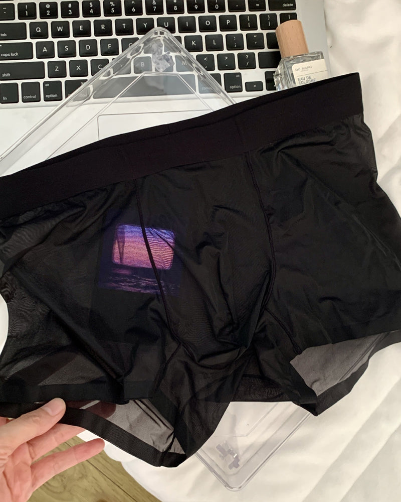 Men's Ice Silk Sexy Comfortable Thin Seamless Breathable Underwear