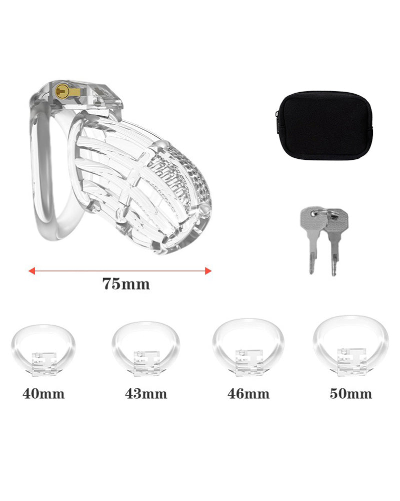 Honeycomb Chastity Lock Birdcage for Men